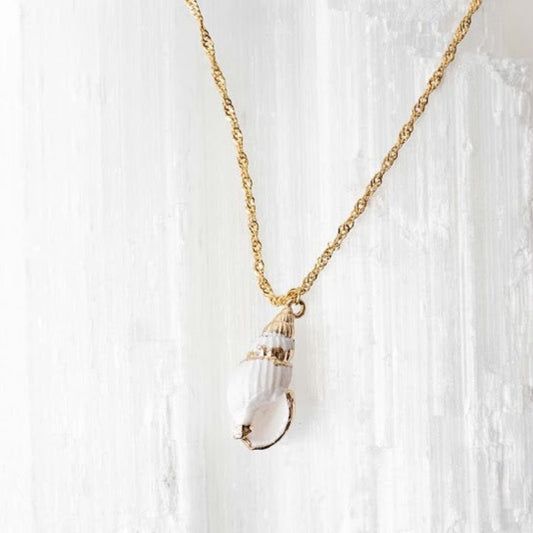 Amalfi Shell Necklace