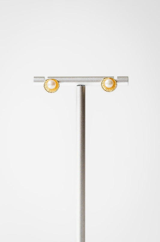 Hamptons Shell Earrings