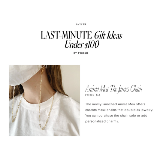 poosh last-minute gift ideas under $100 - gold paperclip style jewelry chain